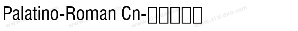 Palatino-Roman Cn字体转换